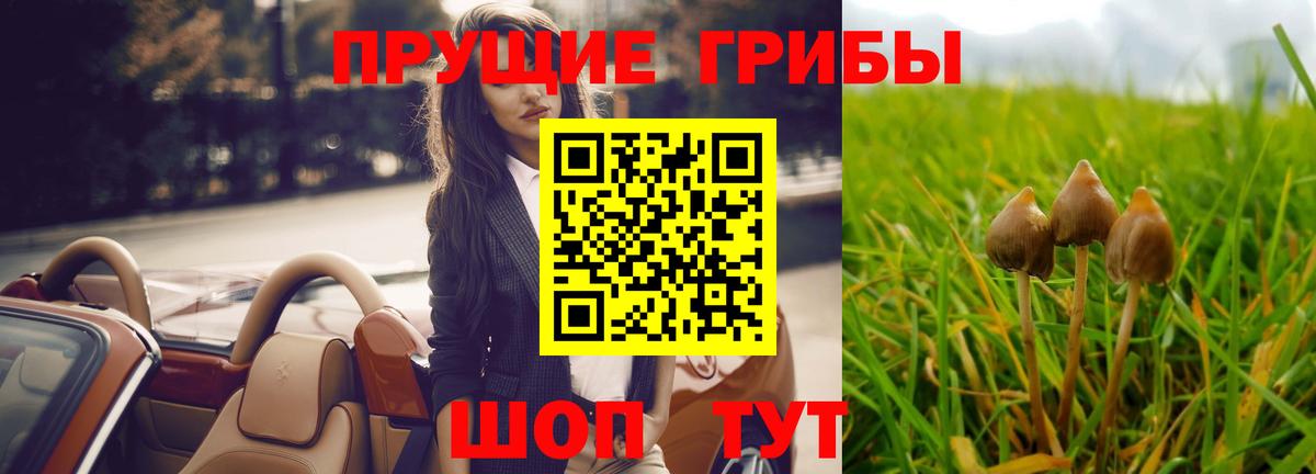 Галлюциногенные грибы Psilocybine cubensis  Вход с VPN  Можайск  Галлюциногенные грибы MAGIC MUSHROOMS 